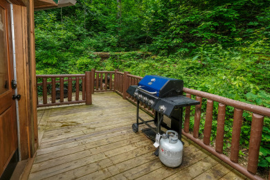 Lake House Park Paradise Your Smoky Mountain Sanctuary is Calling!, , on Douglas Lake in Tennessee - Lakehouse Vacation Rental - Lake Home for rent on LakeHouseVacations.com