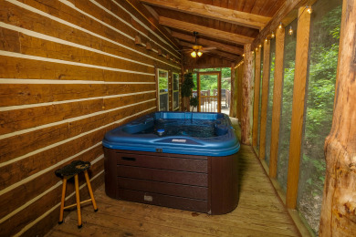 Lake House Park Paradise Your Smoky Mountain Sanctuary is Calling!, , on Douglas Lake in Tennessee - Lakehouse Vacation Rental - Lake Home for rent on LakeHouseVacations.com
