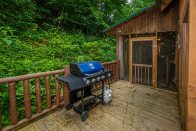 Lake House Park Paradise Your Smoky Mountain Sanctuary is Calling!, , on Douglas Lake in Tennessee - Lakehouse Vacation Rental - Lake Home for rent on LakeHouseVacations.com