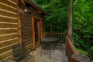 Lake House Park Paradise Your Smoky Mountain Sanctuary is Calling!, , on Douglas Lake in Tennessee - Lakehouse Vacation Rental - Lake Home for rent on LakeHouseVacations.com
