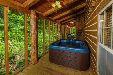Lake House Park Paradise Your Smoky Mountain Sanctuary is Calling!, , on Douglas Lake in Tennessee - Lakehouse Vacation Rental - Lake Home for rent on LakeHouseVacations.com