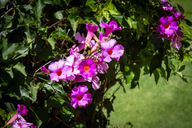 Lake House New I Above Casa Serravalle I Valle de Bravo I Luxury I Views, , on Mexico in 15 - Lakehouse Vacation Rental - Lake Home for rent on LakeHouseVacations.com