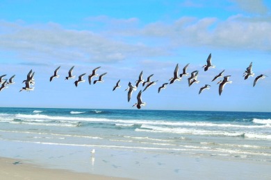 Lake House Newly Renovated CRC 1309 - Gold Third Floor Oceanview Unit, , on Atlantic Ocean - St. Augustine in Florida - Lakehouse Vacation Rental - Lake Home for rent on LakeHouseVacations.com