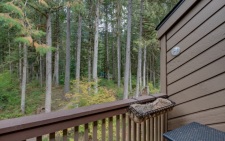 Lake House Mt. Baker Lodging Condo #23 – Luxurious, Wifi, Fireplace, Sleeps 4!, , on Nooksack River in Washington - Lakehouse Vacation Rental - Lake Home for rent on LakeHouseVacations.com
