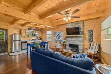 Lake House New 1 Bedroom - Sleeps 4 - Bring the kids ), , on West Prong Little Pigeon River in Tennessee - Lakehouse Vacation Rental - Lake Home for rent on LakeHouseVacations.com