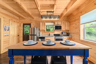 Lake House New 1 Bedroom - Sleeps 4 - Bring the kids ), , on West Prong Little Pigeon River in Tennessee - Lakehouse Vacation Rental - Lake Home for rent on LakeHouseVacations.com