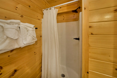 Lake House New 1 Bedroom - Sleeps 4 - Bring the kids ), , on West Prong Little Pigeon River in Tennessee - Lakehouse Vacation Rental - Lake Home for rent on LakeHouseVacations.com