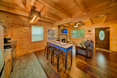 Lake House New 1 Bedroom - Sleeps 4 - Bring the kids ), , on West Prong Little Pigeon River in Tennessee - Lakehouse Vacation Rental - Lake Home for rent on LakeHouseVacations.com