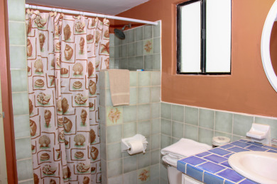 Lake House Arena y Sol A Vibrant Home with Stunning Ocean Views in Las Conchas, , on  in Sonora - Lakehouse Vacation Rental - Lake Home for rent on LakeHouseVacations.com