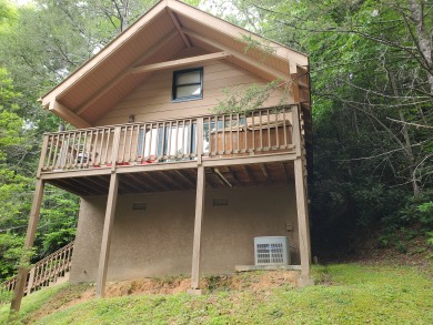 Lake House Wild Thing You'll Go Wild for This Smoky Mountain Cabin!, , on West Prong Little Pigeon River - Gatlinburg in Tennessee - Lakehouse Vacation Rental - Lake Home for rent on LakeHouseVacations.com