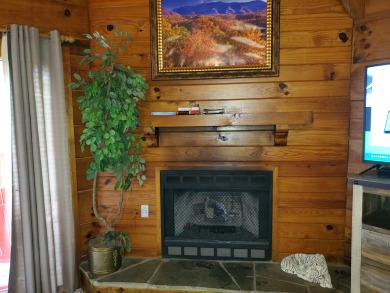 Lake House Wild Thing You'll Go Wild for This Smoky Mountain Cabin!, , on West Prong Little Pigeon River - Gatlinburg in Tennessee - Lakehouse Vacation Rental - Lake Home for rent on LakeHouseVacations.com