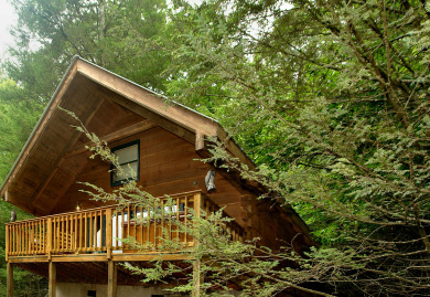 Lake House Wild Thing You'll Go Wild for This Smoky Mountain Cabin!, , on West Prong Little Pigeon River - Gatlinburg in Tennessee - Lakehouse Vacation Rental - Lake Home for rent on LakeHouseVacations.com