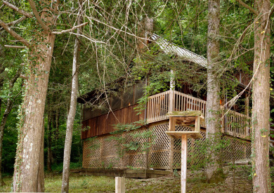 Lake House Get Your Gatlinburg Groove On! - Fun-Filled Cabin for Up to Four Guests, , on West Prong Little Pigeon River - Gatlinburg in Tennessee - Lakehouse Vacation Rental - Lake Home for rent on LakeHouseVacations.com