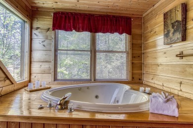Lake House 1 Bedroom 1 Bathroom Romantic Honeymoon Cabin with Hot Tub and Jacuzzi!, , on West Prong Little Pigeon River - Gatlinburg in Tennessee - Lakehouse Vacation Rental - Lake Home for rent on LakeHouseVacations.com