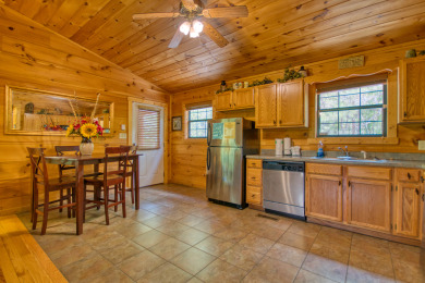 Lake House Making Your Smoky Mountain Dreams Come True!, , on Douglas Lake in Tennessee - Lakehouse Vacation Rental - Lake Home for rent on LakeHouseVacations.com