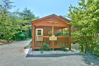 Lake House Making Your Smoky Mountain Dreams Come True!, , on Douglas Lake in Tennessee - Lakehouse Vacation Rental - Lake Home for rent on LakeHouseVacations.com
