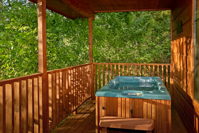 Lake House Making Your Smoky Mountain Dreams Come True!, , on Douglas Lake in Tennessee - Lakehouse Vacation Rental - Lake Home for rent on LakeHouseVacations.com