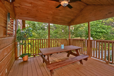 Lake House Making Your Smoky Mountain Dreams Come True!, , on Douglas Lake in Tennessee - Lakehouse Vacation Rental - Lake Home for rent on LakeHouseVacations.com