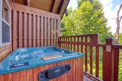 Lake House 1 Bedroom Cabin Between Pigeon Forge and Gatlinburg with a Mountain View, , on Douglas Lake in Tennessee - Lakehouse Vacation Rental - Lake Home for rent on LakeHouseVacations.com