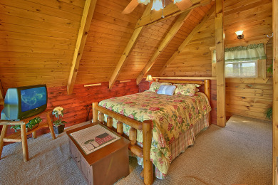 Lake House 1 Bedroom Cabin Between Pigeon Forge and Gatlinburg with a Mountain View, , on Douglas Lake in Tennessee - Lakehouse Vacation Rental - Lake Home for rent on LakeHouseVacations.com