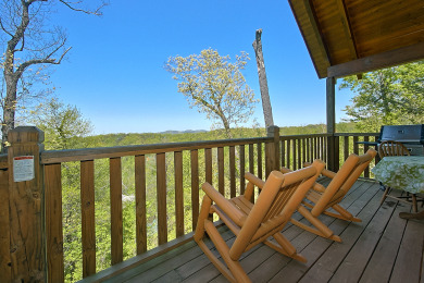 Lake House 1 Bedroom Cabin Between Pigeon Forge and Gatlinburg with a Mountain View, , on Douglas Lake in Tennessee - Lakehouse Vacation Rental - Lake Home for rent on LakeHouseVacations.com