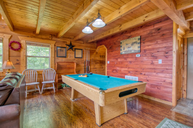 Lake House 1 Bedroom Cabin Between Pigeon Forge and Gatlinburg with a Mountain View, , on Douglas Lake in Tennessee - Lakehouse Vacation Rental - Lake Home for rent on LakeHouseVacations.com