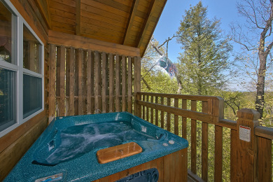 Lake House 1 Bedroom Cabin Between Pigeon Forge and Gatlinburg with a Mountain View, , on Douglas Lake in Tennessee - Lakehouse Vacation Rental - Lake Home for rent on LakeHouseVacations.com