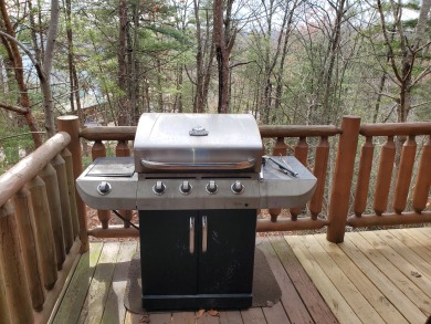  Ad# 22182 lake house for rent on LakeHouseVacations.com, lakehouse, lake home rental, lakehome for rent, vacation, holiday, lodging, lake