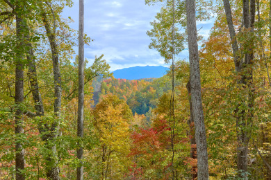 Lake House A Tranquility Den Your Peaceful Escape After Smoky Mountain Adventures, , on West Prong Little Pigeon River in Tennessee - Lakehouse Vacation Rental - Lake Home for rent on LakeHouseVacations.com