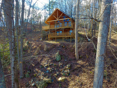 Lake House A Tranquility Den Your Peaceful Escape After Smoky Mountain Adventures, , on West Prong Little Pigeon River in Tennessee - Lakehouse Vacation Rental - Lake Home for rent on LakeHouseVacations.com
