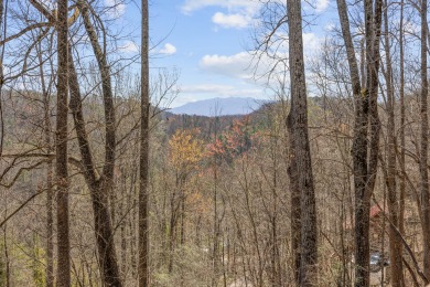 Lake House A Tranquility Den Your Peaceful Escape After Smoky Mountain Adventures, , on West Prong Little Pigeon River in Tennessee - Lakehouse Vacation Rental - Lake Home for rent on LakeHouseVacations.com