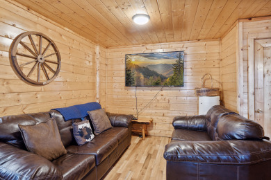 Lake House A Tranquility Den Your Peaceful Escape After Smoky Mountain Adventures, , on West Prong Little Pigeon River in Tennessee - Lakehouse Vacation Rental - Lake Home for rent on LakeHouseVacations.com