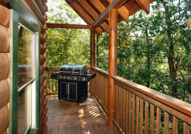 Lake House Buddy Bear Your Luxurious Smoky Mountain Cabin Getaway!, , on West Prong Little Pigeon River in Tennessee - Lakehouse Vacation Rental - Lake Home for rent on LakeHouseVacations.com
