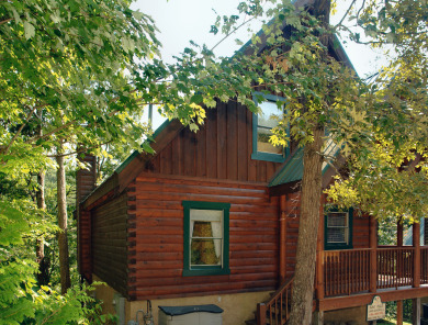 Lake House Buddy Bear Your Luxurious Smoky Mountain Cabin Getaway!, , on West Prong Little Pigeon River in Tennessee - Lakehouse Vacation Rental - Lake Home for rent on LakeHouseVacations.com