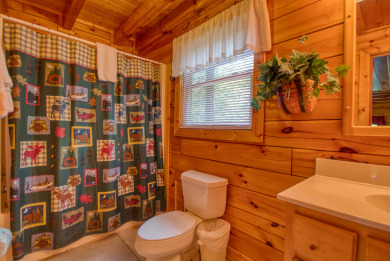 Lake House Buddy Bear Your Luxurious Smoky Mountain Cabin Getaway!, , on West Prong Little Pigeon River in Tennessee - Lakehouse Vacation Rental - Lake Home for rent on LakeHouseVacations.com