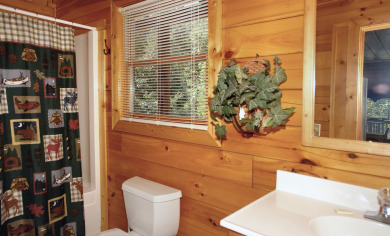 Lake House Buddy Bear Your Luxurious Smoky Mountain Cabin Getaway!, , on West Prong Little Pigeon River in Tennessee - Lakehouse Vacation Rental - Lake Home for rent on LakeHouseVacations.com