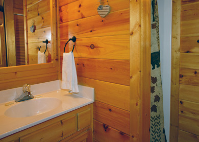 Lake House Buddy Bear Your Luxurious Smoky Mountain Cabin Getaway!, , on West Prong Little Pigeon River in Tennessee - Lakehouse Vacation Rental - Lake Home for rent on LakeHouseVacations.com