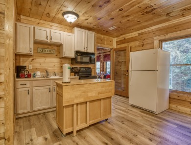 Lake House Suite Spot Your Ideal Pigeon Forge Getaway with All the Extras!, , on West Prong Little Pigeon River in Tennessee - Lakehouse Vacation Rental - Lake Home for rent on LakeHouseVacations.com
