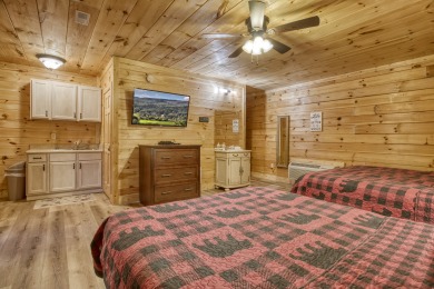 Lake House Suite Spot Your Ideal Pigeon Forge Getaway with All the Extras!, , on West Prong Little Pigeon River in Tennessee - Lakehouse Vacation Rental - Lake Home for rent on LakeHouseVacations.com