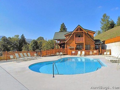 Lake House Starry Nights Your Smoky Mountain Getaway is Written in the Stars!, , on West Prong Little Pigeon River in Tennessee - Lakehouse Vacation Rental - Lake Home for rent on LakeHouseVacations.com
