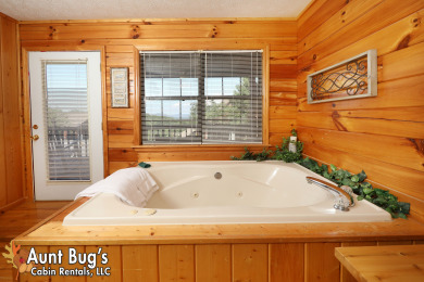 Ad# 22204 lake house for rent on LakeHouseVacations.com, lakehouse, lake home rental, lakehome for rent, vacation, holiday, lodging, lake