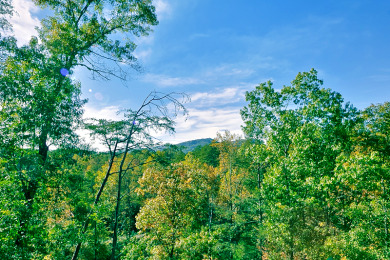 Lake House Private Paradise Your Exclusive Smoky Mountain Hideaway!, , on West Prong Little Pigeon River in Tennessee - Lakehouse Vacation Rental - Lake Home for rent on LakeHouseVacations.com
