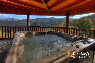  Ad# 22213 lake house for rent on LakeHouseVacations.com, lakehouse, lake home rental, lakehome for rent, vacation, holiday, lodging, lake
