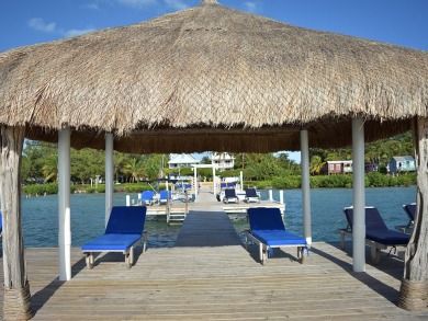 Lake House Seahorse Cabana Pool AC Dock Access Paddleboards-Sleeps 4, , on  in Belize District - Lakehouse Vacation Rental - Lake Home for rent on LakeHouseVacations.com