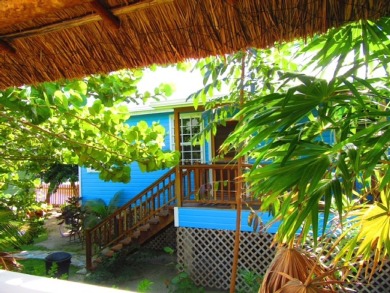 Lake House Seahorse Cabana Pool AC Dock Access Paddleboards-Sleeps 4, , on  in Belize District - Lakehouse Vacation Rental - Lake Home for rent on LakeHouseVacations.com