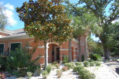 Lake House 1901v Palm Tree Breeze Just a short walk to the Beach, , on Gulf of Mexico - Gulfport  in Mississippi - Lakehouse Vacation Rental - Lake Home for rent on LakeHouseVacations.com