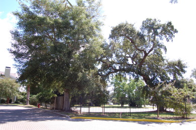 Lake House 1901v Palm Tree Breeze Just a short walk to the Beach, , on Gulf of Mexico - Gulfport  in Mississippi - Lakehouse Vacation Rental - Lake Home for rent on LakeHouseVacations.com