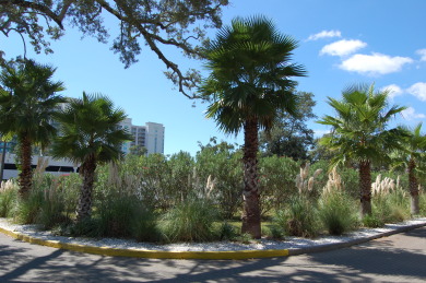 Lake House 1901v Palm Tree Breeze Just a short walk to the Beach, , on Gulf of Mexico - Gulfport  in Mississippi - Lakehouse Vacation Rental - Lake Home for rent on LakeHouseVacations.com