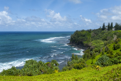 Lake House Cheerful, Classic Hawaiian Retreat w Incredible Views & Updated KitchenBath, , on Kauai - Princeville in Hawaii - Lakehouse Vacation Rental - Lake Home for rent on LakeHouseVacations.com