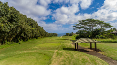 Lake House Stylish and Spacious Condo - AC in 2 Bedrooms, Huge Lanai, Great Location, , on Kauai - Princeville in Hawaii - Lakehouse Vacation Rental - Lake Home for rent on LakeHouseVacations.com